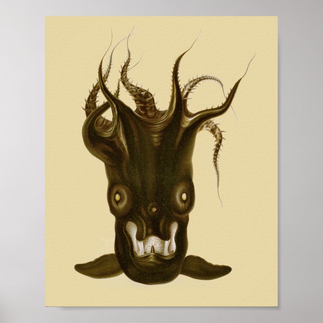 Vampire Squid Black Sea Creature Art Print (Front)