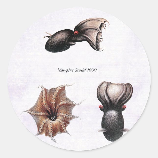 Vampire Squid Sticker (Front)