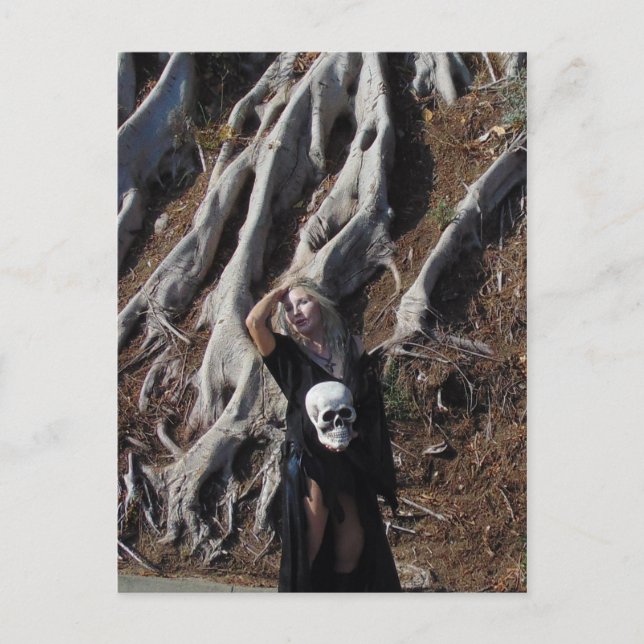 Vamplified Roots Postcard (Front)