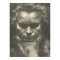 Van Beethoven portrait