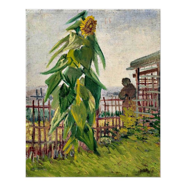 Van Gogh - Allotment with Sunflower Poster (Front)