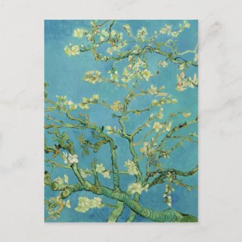 Van Gogh | Almond Blossom | New Address Announcement Postcard by _vangoghart at Zazzle