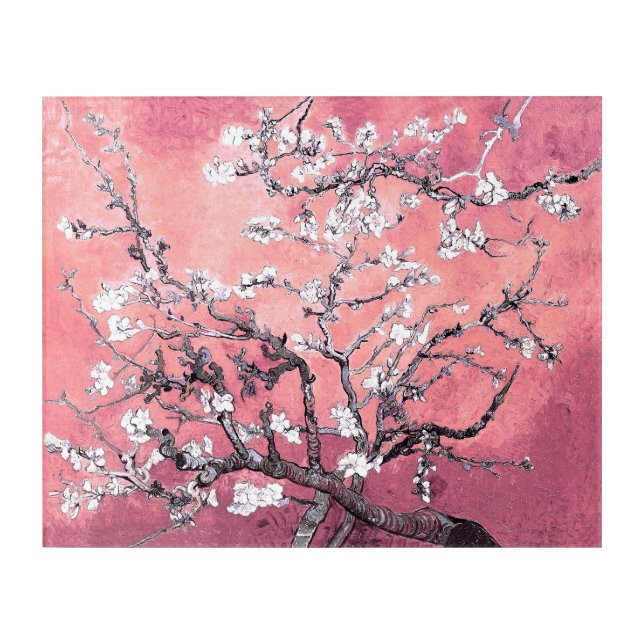 Van Gogh Almond Blossom peach pink Acrylic Print (Front)