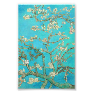 Van Gogh Almond Blossoms Photo Print