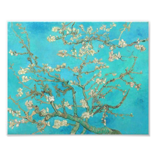 Van Gogh Almond Blossoms Photo Print