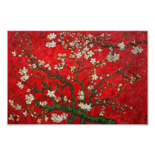 Van Gogh Almond Blossoms Red Photo Print