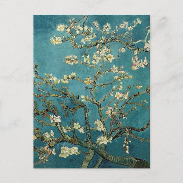 Van Gogh Almond Branches In Bloom Postcard (Front)