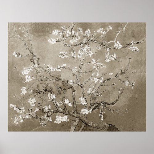 Van Gogh Almond Branches in Bloom _ Sepia Poster