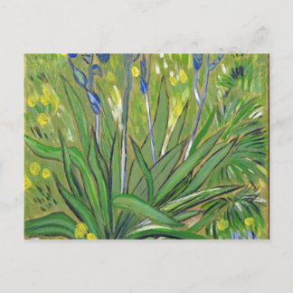 Van Gogh art Irises, acrylic reproduction Postcard
