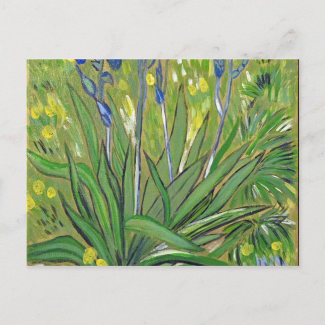 Van Gogh art  Irises, acrylic reproduction Postcard (Front)