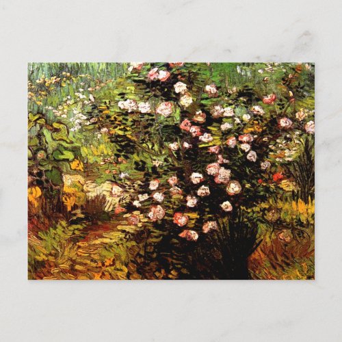 Van Gogh _ Blooming Rose Bush Postcard