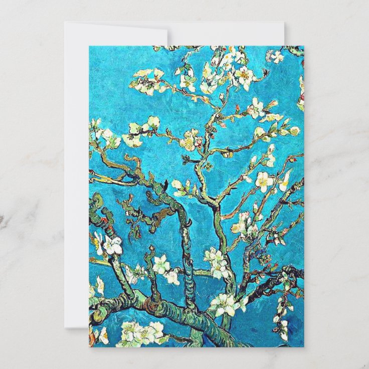 Branches Of An Almond Tree In Blossom