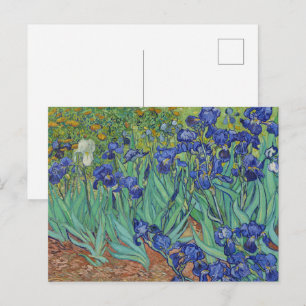 Van Gogh Famous Blue Irises Floral Oil Painting Postcard