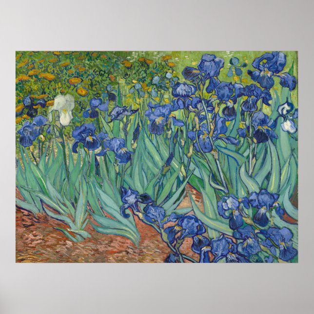 Van Gogh Famous Blue Irises Floral Oil Painting Poster (Front)