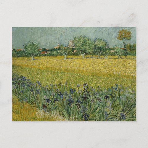 Van Gogh Field With Flowers Near Arles Postcard