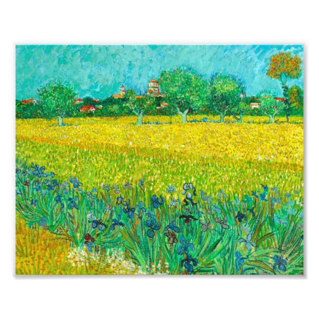 Van Gogh Field with Irises Near Arles Photo Print (Front)