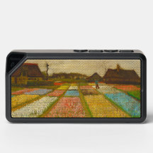 Van Gogh Flower Beds in Holland