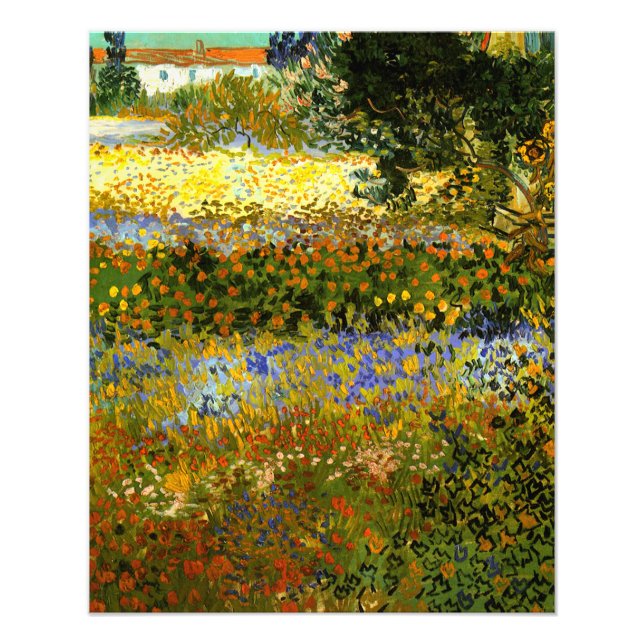 Van Gogh - Flowering Garden, Impressionism Photo Print (Front)