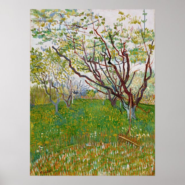 Van Gogh Flowering Orchard Painting Poster (Front)