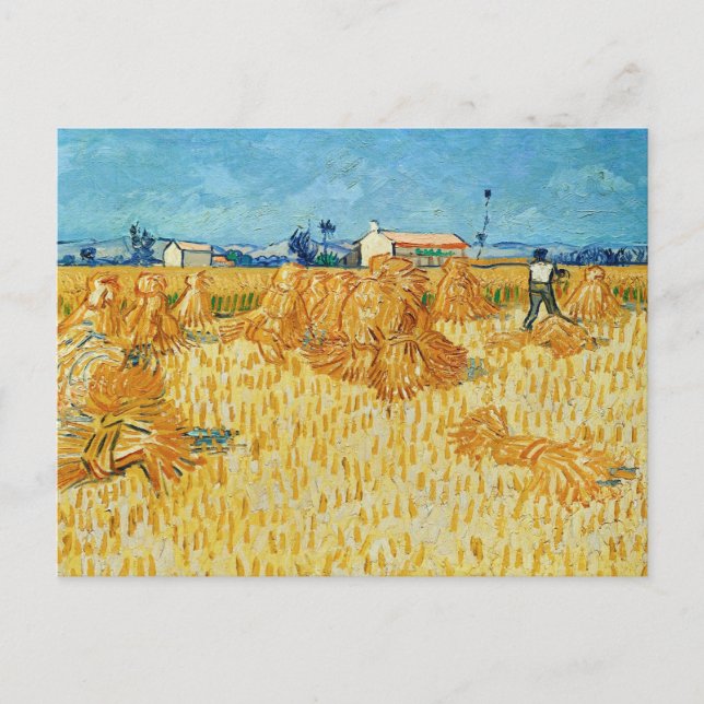 Van Gogh; Harvest in Provence Postcard (Front)