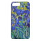 Van Gogh Irises 1889