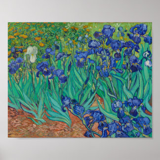 van Gogh - Irises (1889) Poster