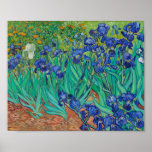 Van Gogh Irises. Blue floral vintage impressionism Poster<br><div class="desc">Van Gogh "Irises" poster. Blue floral impressionism art.</div>