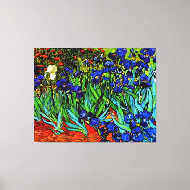 Van Gogh - Irises Canvas Print (Front)