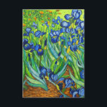 Van Gogh Irises Enclosure Card<br><div class="desc">Enclosure Cards featuring Vincent van Gogh’s oil painting Irises (1889). Inspired during his stay at an asylum,  this still life depicts beautiful blue irises in different shades. A great gift for fans of Post-Impressionism and Dutch art.</div>