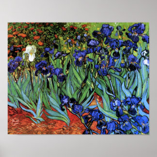 Van Gogh Irises (F608) Vintage Fine Art Poster