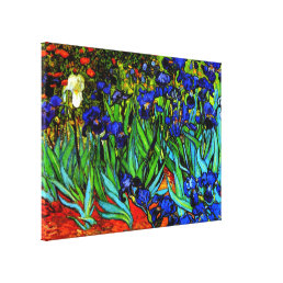 Van Gogh - Irises, fine art painting Canvas Print
