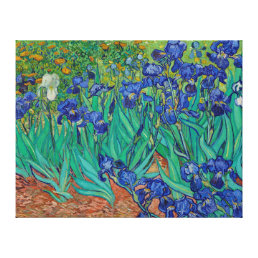 Van Gogh Irises Floral Painting Canvas Print