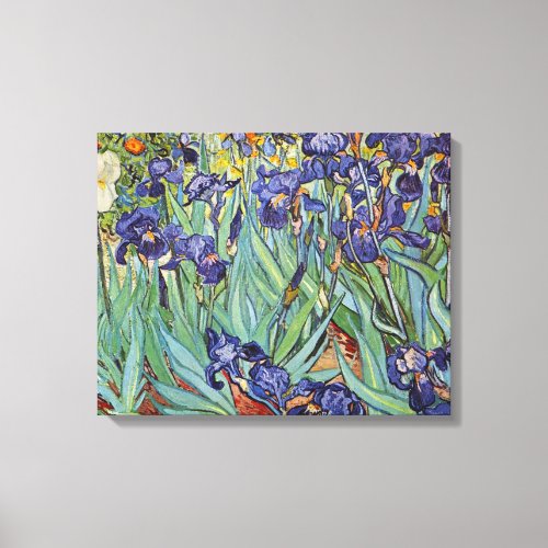 Van Gogh Irises Impressionist Painting Canvas Print