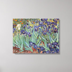 Van Gogh Irises Impressionist Painting Canvas Print