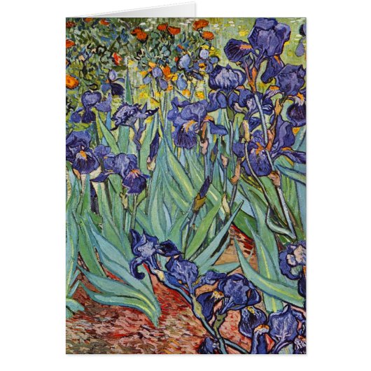 Van Gogh Irises Impressionist Painting Cards (Front)