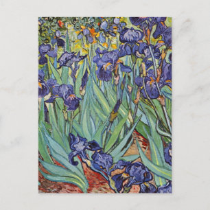 Van Gogh Irises Impressionist Painting Postcard