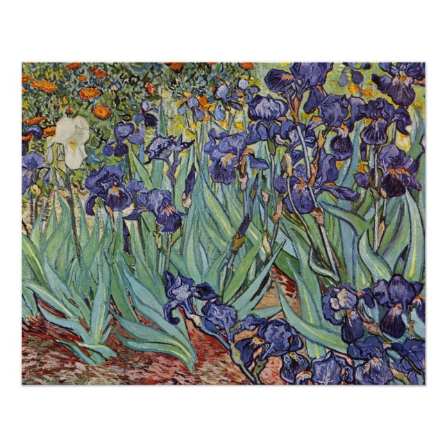 Van Gogh Irises Impressionist Painting Poster (Front)