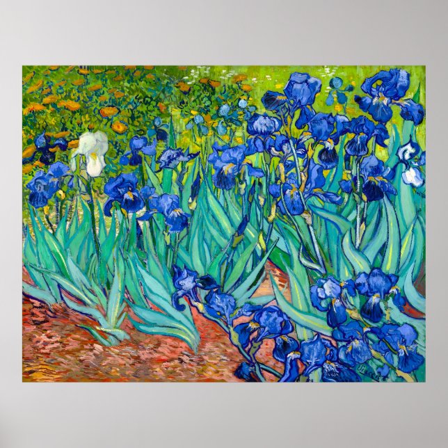 Van Gogh, Irises, Les Iris, 1889 Poster (Front)