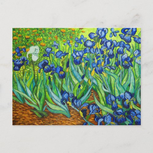 Van Gogh Irises Postcard