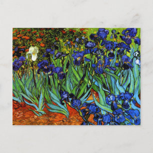 Van Gogh - Irises Postcard