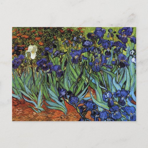 Van Gogh Irises Postcard