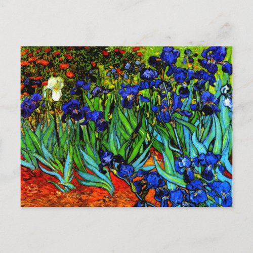 Van Gogh _ Irises Postcard