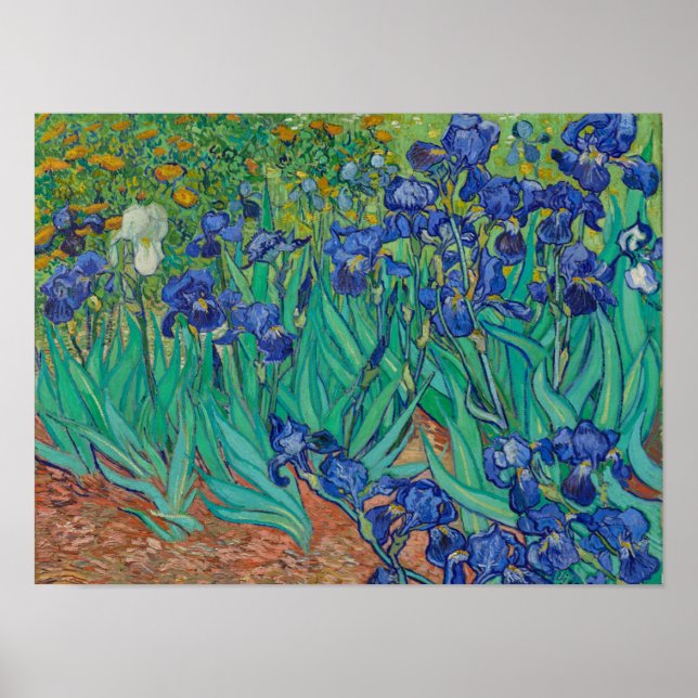 Van Gogh Irises Poster (Front)
