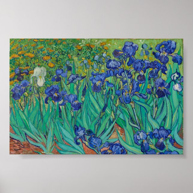Van Gogh Irises Poster (Front)