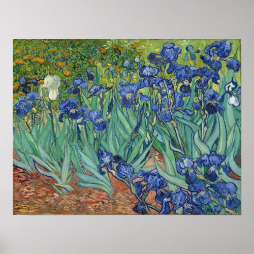 Van Gogh _ Irises Poster