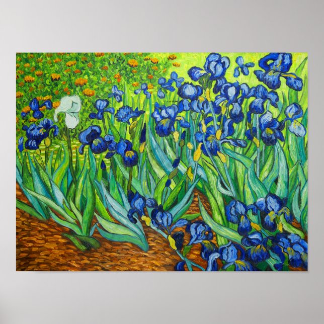 Van Gogh Irises Poster (Front)