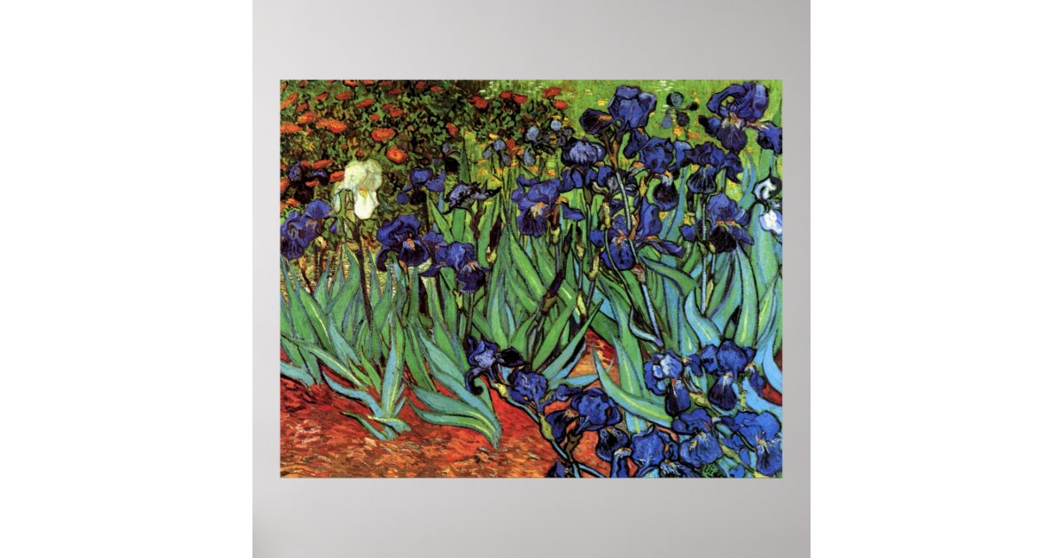 Van Gogh Irises, Vintage Garden Fine Art Poster | Zazzle