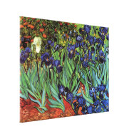 Van Gogh Irises, Vintage Post Impressionism Art Stretched Canvas Prints