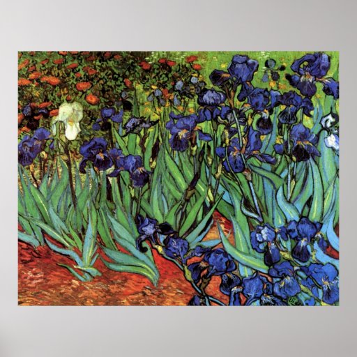 Van Gogh Irises, Vintage Post Impressionism Art Poster