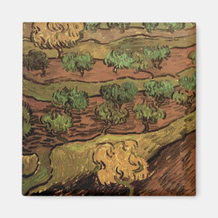 Van Gogh Olive Trees Against a Slope of a Hill Magnet
